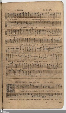 XIV. Laudate Dominum de caelis