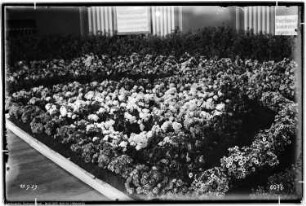 Me Gärtnerei, Rössen, Gartenbauausstellung, Rosengarten