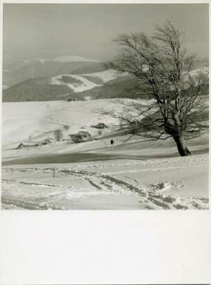 Skigebiet am Schauinsland