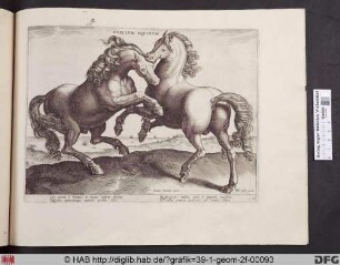 Duellum equinum.