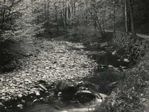 Dresdner Land/Erzgebirgsvorland. Rabenauer Grund. Prall- und Gleithang mit Erosion und Akkumulation