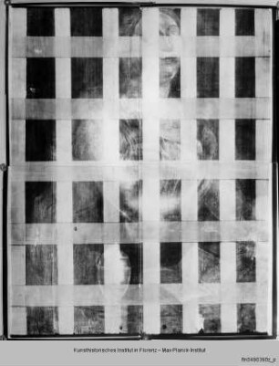 Büßende Magdalena - Röntgenaufnahme der Untermalung des sogenannten Selbstbildnisses Leonardo da Vincis