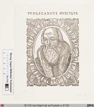 Bildnis Wolfgang Musculus (eig. Mäuslin)