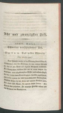 Acht und zwanzigster Heft.