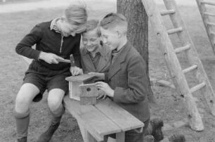 Schüler mit einem Vogel-Nistkasten : Schüler bei der Reparatur eines Nistkastens