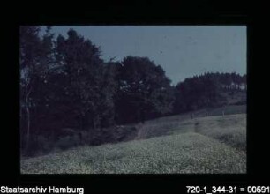 Marmstorf bei Harburg