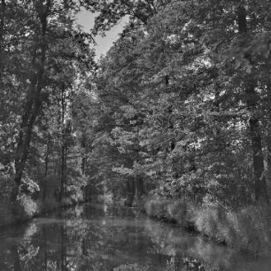 Fließgewässer im Spreewald. : Groble w Błótach.
