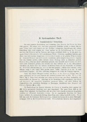 I. Geschichtlicher Ueberblick.