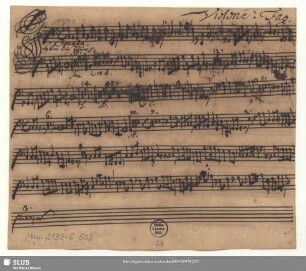 Violone. Fag.[otto]