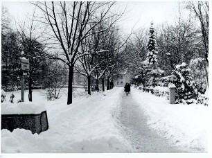 Ameide im Winter, verschneit. Detmold