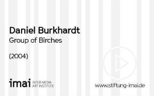 Group of Birches