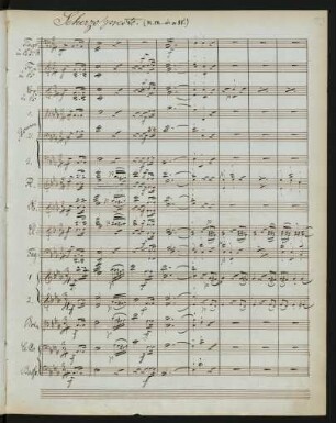 Scherzo presto