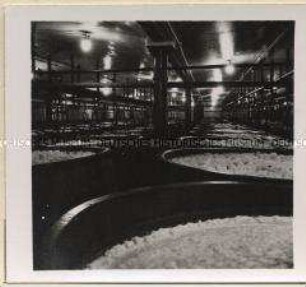 Berlin, Schultheiß/Patzenhofer Brauerei AG