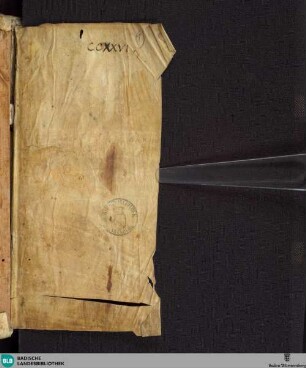 Hieronymi explanationes in Ioel, Michaeam - Cod. Aug. perg. 226