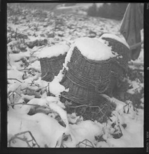 Schnee zur Unzeit