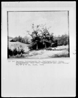 Landschaft mit zwei Eichen