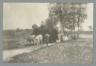 Burgk. Bauern mit Ochsengespännern
