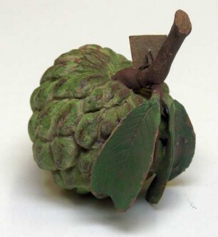 Custard apple