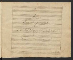 Quanti casi in un sol giorno. Einlagen; T, orch