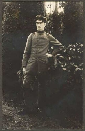 Mayer, Rosmas
