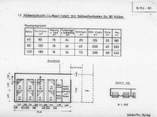 Kälberaufzucht- (u. Mast-)stall mit Vollspaltenboden für 80 Kälber