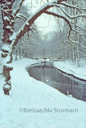 Kurpark: Beste mit Schwänen im Winter, im Hintergrund Fußgängerbrücke