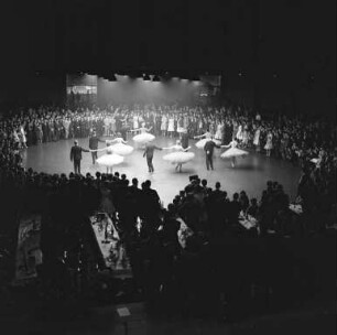 Winterball in der Schwarzwaldhalle und in der Gartenhalle.