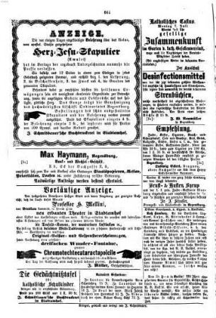 Neues bayerisches Volksblatt. 1873, 7 - 12