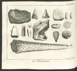 Tafel: Les Pétrifications.