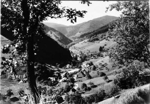 Untermünstertal vom Rundweg