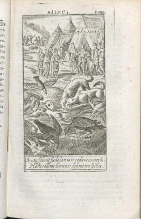 Bruta solent fædo laniare cadavera morsu; Hoste cadente hominis desinit ira ferox.