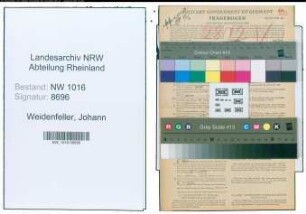 Entnazifizierung Johann Weidenfeller , geb. 07.02.1898 (Angestellter)
