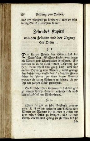 Zehendes Kapitel von den Feinden und der Arzney der Bienen.