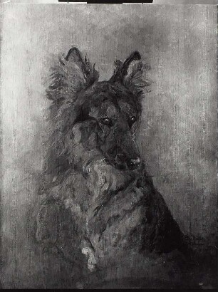 Hundeporträt (Schäferhund)