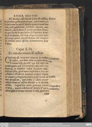 Caput LII. De calculo renum & vesicae.