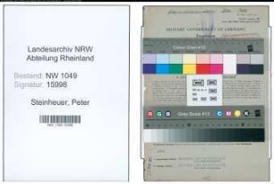 Entnazifizierung Peter Steinheuer , geb. 14.01.1894 (Kaufmaennischer Angestellter)