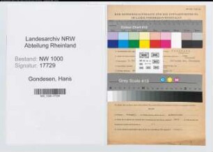 Entnazifizierung Hans Gondesen, geb. 07.11.1910 (Angest.)