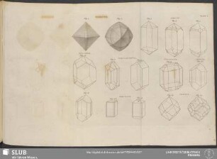 Plate I. Diamond