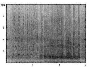 Hausgans | Anser anser f. domestica - Ruf