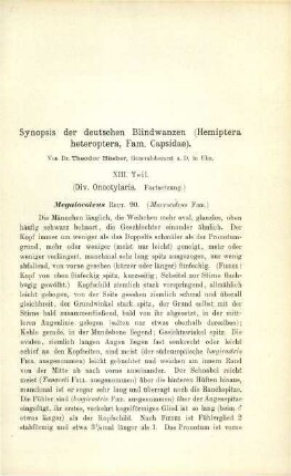 Synopsis der deutschen Blindwanzen (Hemiptera heteroptera, Fam. Capsidae). XIII. Teil