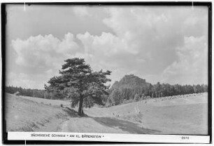Sächsische Schweiz. Am Kleinen Bärenstein