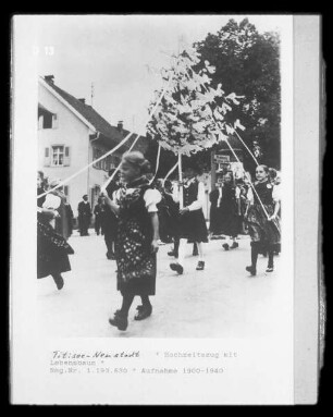 Titisee-Neustadt, Hochzeitszug mit Lebensbaum