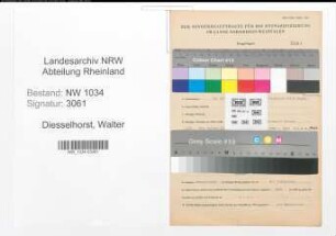 Entnazifizierung Walter Diesselhorst , geb. 13.07.1912 (Angestellter)