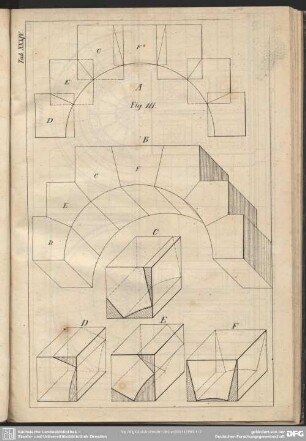 Tab. XXXIV