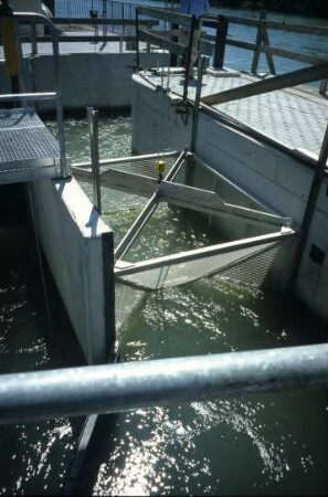 Fischreuse des Fischpasses Iffezheim