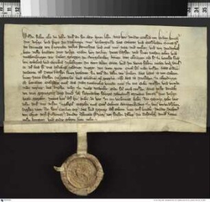 Gottfried von Linden, Komtur von Balga und Vogt von Natangen, verleiht Peter Kayse vier Hufen zu Saugelauken bei Verbriefung einer älteren, durch [Heinrich] Schindekopf, Komtur von Balga, erfolgten Verleihung.