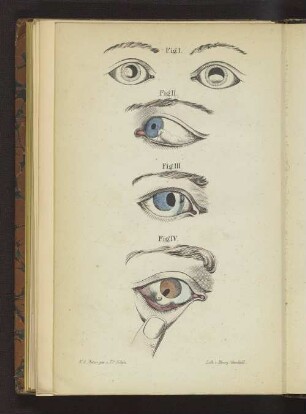 Fig. I bis Fig. VIII