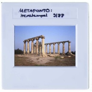 Metaponto, Tavole Palatine,Metaponto, Ruinenfeld