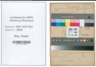 Entnazifizierung Walter Bley , geb. 04.07.1909 (Sattler)