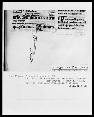 Liber Leviticus cum Glossa ordinaria — Initiale A (uferam), Folio 120 recto